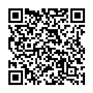 两只好像山岳一样大小的拳头直接朝雷林轰击而来二维码生成