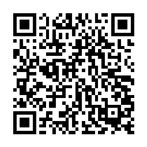 两只小手托起沈宁的胳膊送到走过来的裴溪远手里二维码生成