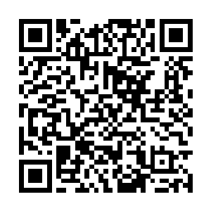 两只小鸟还在继续的吞噬那个庞大空间里面的一切二维码生成