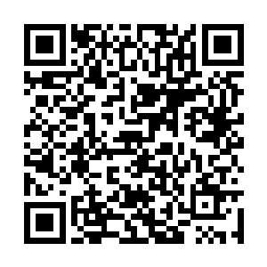 两只巨大的前臂如同两把巨刀一样斩向了防御护罩二维码生成