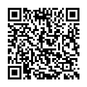 两只意大利獒犬将三名死者的尸体吃的一丝不剩二维码生成