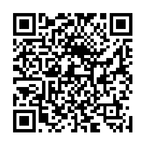 两只手的食指和拇指抵在一起形成一个彷如相机的方形框架二维码生成