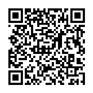 两只由魔气凝成的巨大魔掌却突然在魔气云柱之中出现二维码生成