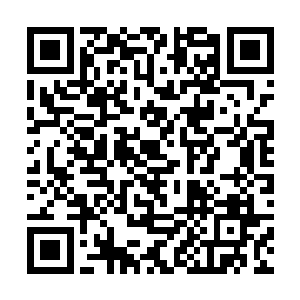 两只白嫩嫩的小手也没有能够从秦方的手中逃脱出来二维码生成