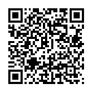 两只眼就没离开过和一堆人凑在一起吃饭的莉莉娅二维码生成