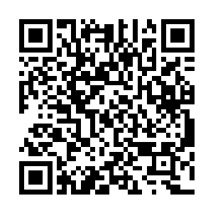 两只美丽白勺大眼睛紧紧白勺望着一旁角落里白勺司徒青锋二维码生成