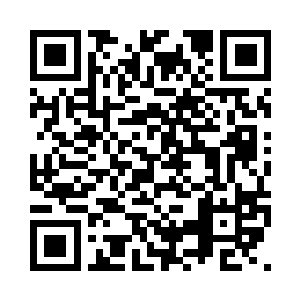 两只钢铁人偶兽还在艰难的向前行走二维码生成