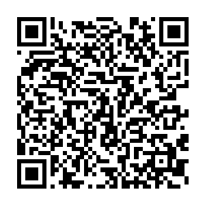 两名仙医在距离他们所认为的生的希望还有半米的地方永远的停了下来二维码生成