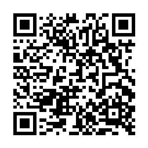 两名勇士虽然好奇祭司大人为什么要跟着两个小崽子二维码生成