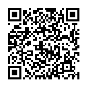 两名原来蓝色盾牌的姑娘和两个当地姑娘一起在做接待二维码生成