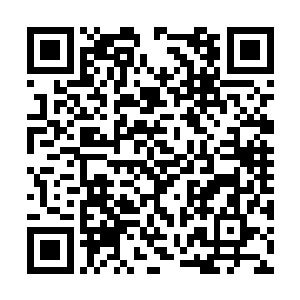 两名喜欢讨好延森的神殿使者一人一句的开口说道二维码生成