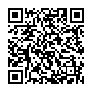 两名毒龙会总部的小弟正在勤快的擦拭着总部的车辆二维码生成