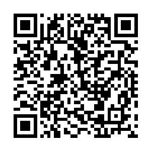 两名资质较老的女医生领着护士们在里面给醒心检查身体二维码生成