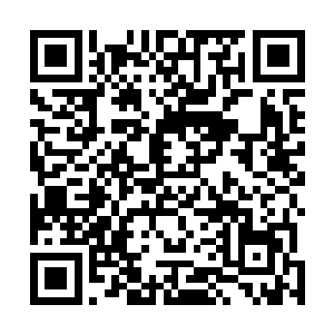 两块小药田将本有些突兀的天樱树与白竹衔接的十分妥帖二维码生成