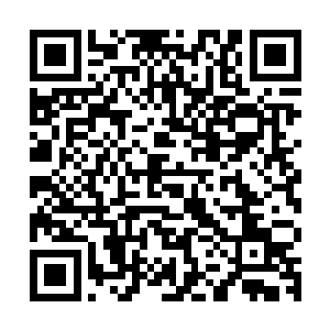 两大一流势力联合起来要整死六个少年少女在他们看来易如反掌二维码生成