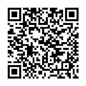 两大世间顶级强者在新世界爆发了天王大君间的第一场对决二维码生成
