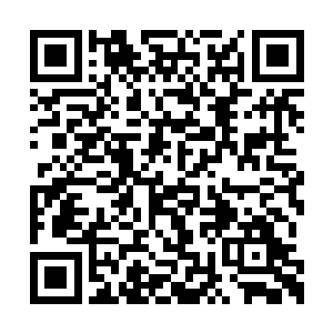 两大家族已经在放心的将弟子送了过来参与修炼二维码生成