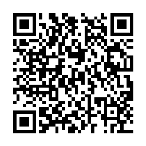 两天之主自然再第一时间就召集本天留守战力来援二维码生成