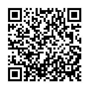 两头九品灵兽的豹子就头上鲜血淋漓的咆哮着追了出来二维码生成