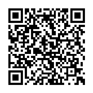 两头古尸皇者率领三十余头古尸大妖王飞了出来二维码生成