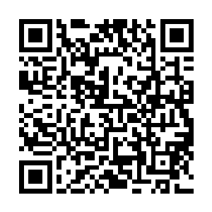 两头幽冥狼的身上直接多出了两条恐怖的深可见骨的伤口二维码生成