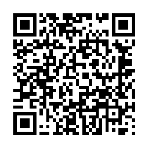 两家虽然没有像徐向东这样可以杀进战力榜的强者二维码生成