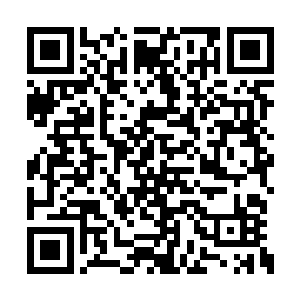 两尊巨人守护者带着所有守陵军混在修士大军中二维码生成