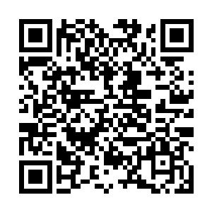 两年前吧……这两年来二师兄到处都在打听她的下落呢二维码生成
