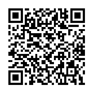 两座战争城堡的品级已经直逼八品仙器后期巅峰二维码生成