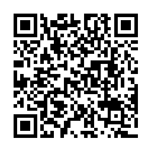 两截泛着玉石光泽的小臂骨和手掌骨摆在他的身体两侧二维码生成