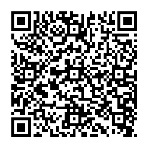 两挺挂在直升机舱门边的机关枪就开始朝着还在绽放火花的区域哒哒哒的猛烈倾泻弹头二维码生成