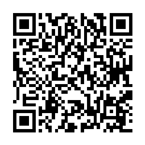 两排穿着全身盔甲的侍卫一起平举手臂行礼看过来二维码生成