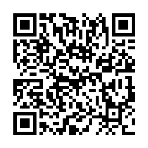 两条修长的美腿有力地踩在公安局大院的水泥地上二维码生成