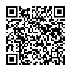 两条冰龙接着雪势围绕着土依水释放的八阵图盘旋进攻二维码生成