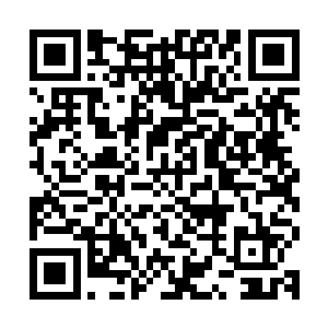 两条巨蛇就在天空之中各自追上了太乙玄门和执天阁的一个弟子二维码生成