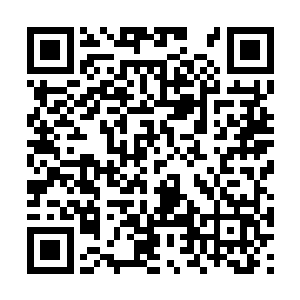 两条线索上都派遣出足够的人手追踪下去不就好了二维码生成
