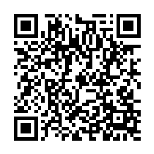 两条腿在一颗粗壮无比的树干上轻轻的点了那么几下二维码生成