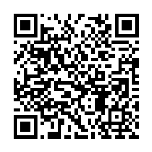 两条金枪鱼居然就只敢在小胖限定的范围内游动着二维码生成