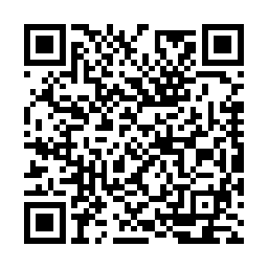 两条长长的龙须让人看上去便能感到一丝丝的宁静二维码生成