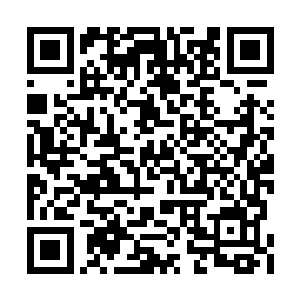 两条雪白修长笔直的大腿一下子呈现在众人面前二维码生成