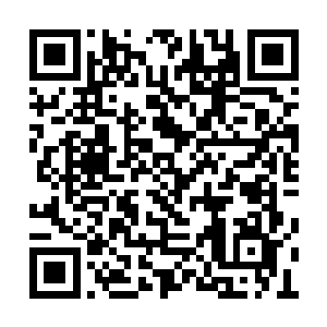 两枚玉针就出现在了孙子轩双手食指和拇指之间二维码生成