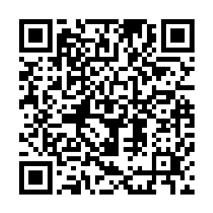 两架机甲的以一种恐怖的速度在剩下三架机动战士之间窜动二维码生成