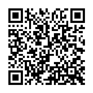 两柄中品神剑带着撕裂虚空的力量斩在血杀主宰身上二维码生成