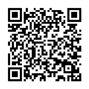 两株三十年的秭归根……这些药材年份一定要充足二维码生成