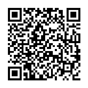 两次从他手里逃脱的张萧晗就站在窗外的墙根处二维码生成