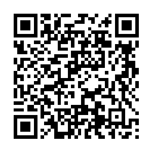 两法若是一起实施只怕要连累得行政改制都进行不下去二维码生成