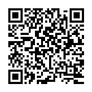 两猛兽中的任何一只在短时间内都很难将另外一边彻底吞下肚二维码生成