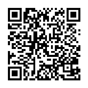 两界所有的存在都被这突如其来的动静给吓傻了二维码生成