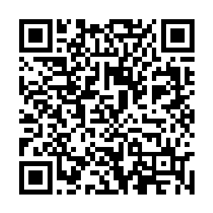 两界还有不少高阶存在在那一波战斗中幸存了下来二维码生成