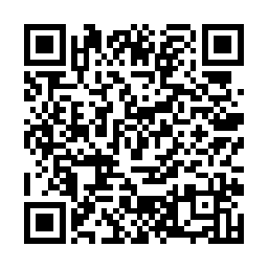 两百年的时间还未能使这种教育浸透到他们的骨头里二维码生成